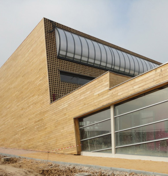 Clin bois à Malesherbes dans le Loiret (45)